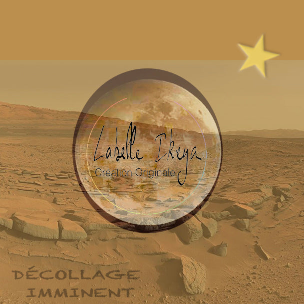 Boucles puces d'oreilles Luna Rossa - Labelle Ikeya Création Originale - Puce d'oreilles