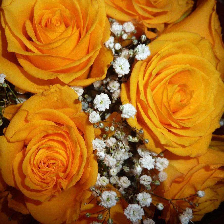 Abelia Kaléidoscope Murano - Labelle Ikeya Création Originale - Collier