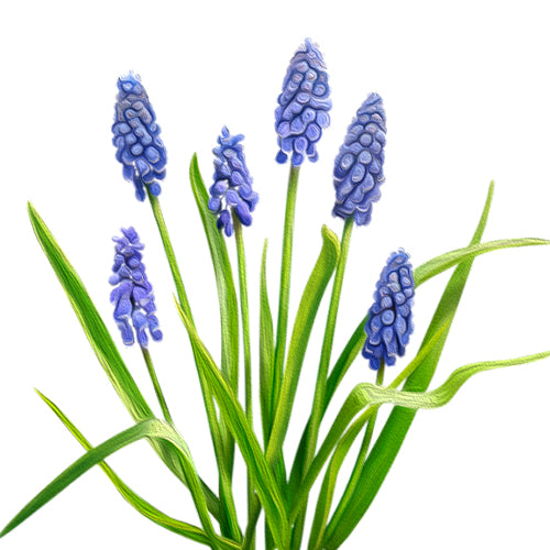 Puces Murano Orion Vertes - Labelle Ikeya Création Originale - Puce d'oreilles