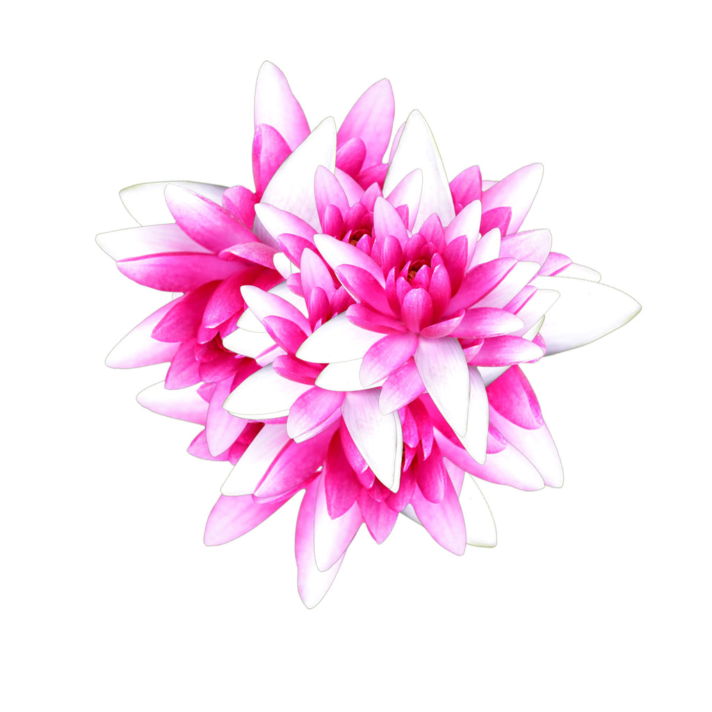 Magic Flower Broche - Labelle Ikeya Création Originale - Broches