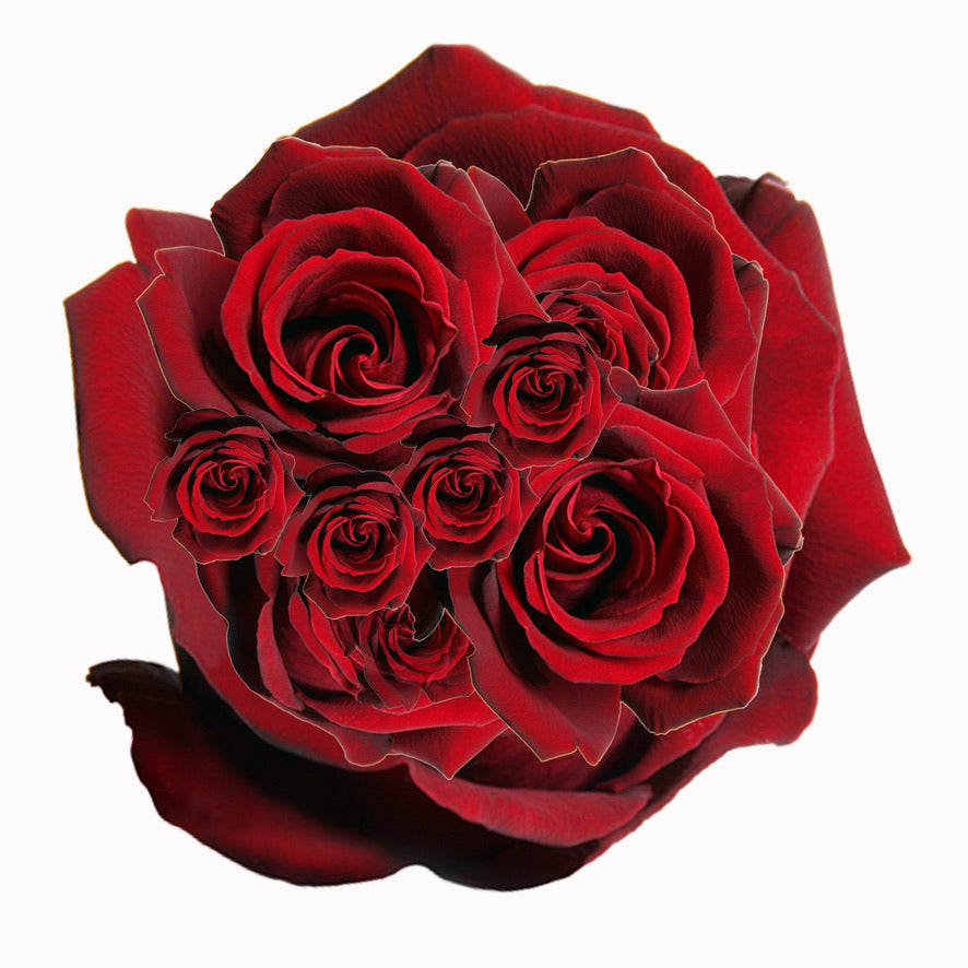 Rose Royale Murano - Labelle Ikeya Création Originale - Ras de cou