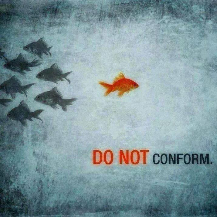 Boucles puces d'oreilles Cactus Rosso - Labelle Ikeya Création Originale - Puce d'oreilles