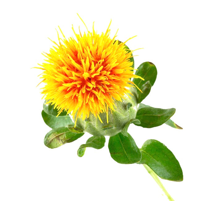 Carthame Murano - Labelle Ikeya Création Originale - Ras de cou