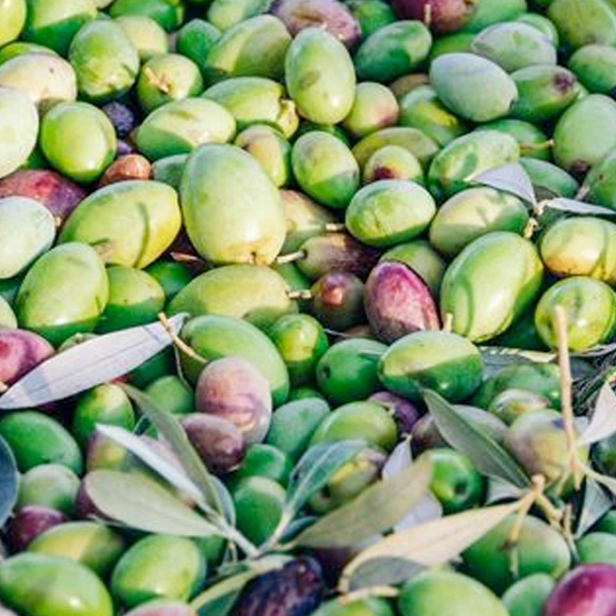 Boucles puces d'oreilles Inca Storya - Labelle Ikeya Création Originale - Puce d'oreilles